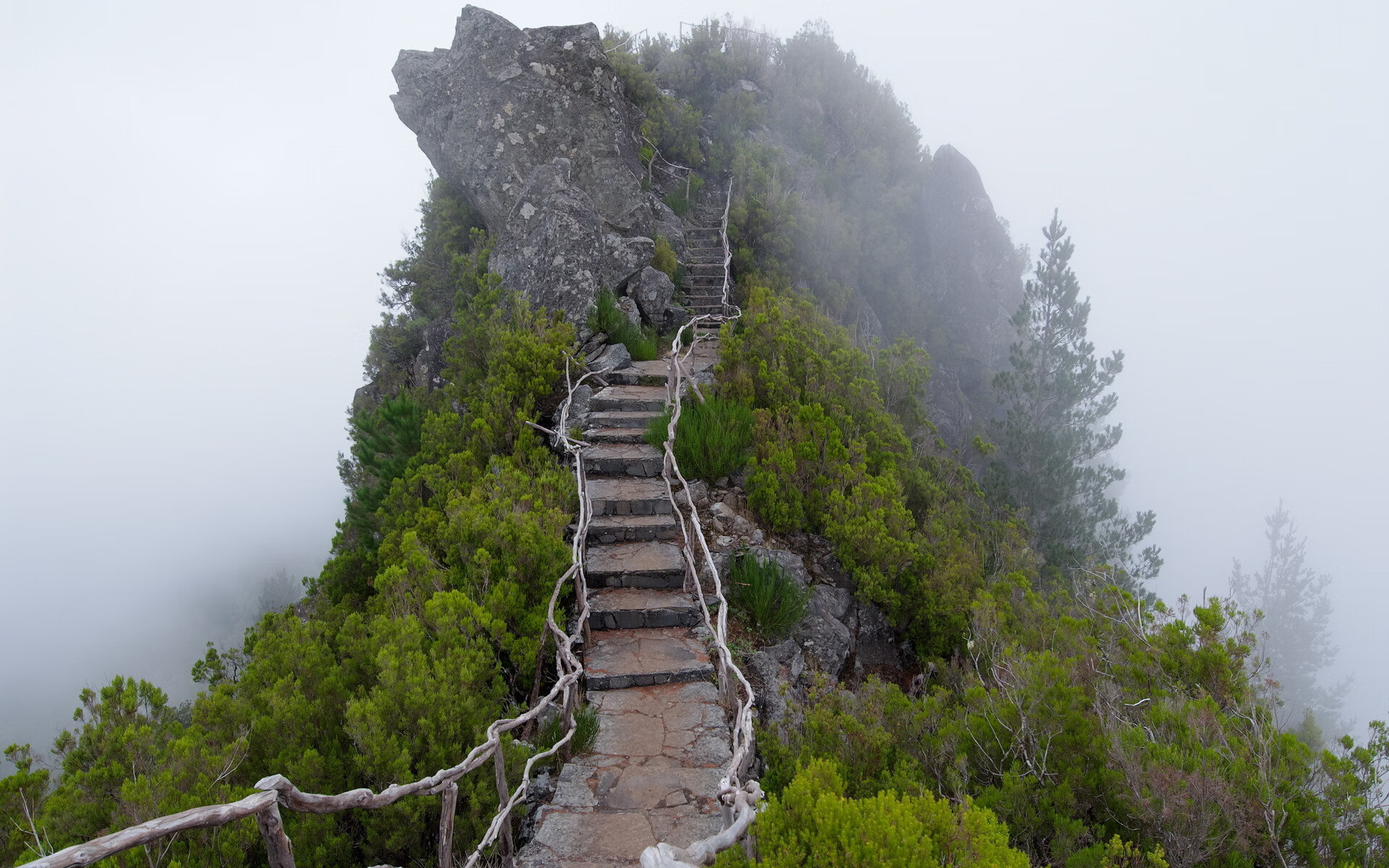 世界短道速滑锦标赛赛道维护人员获表彰,世界短道速滑锦标赛中国队